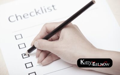 Dallas Bachelor Party Planning Checklist: Fall Edition