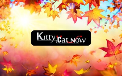 Why Fall Is the Best Season for Bachelor & Bachelorette Parties in Dallas