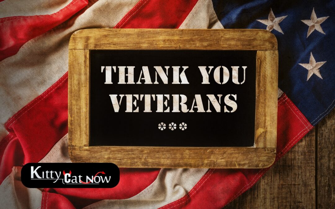 Veterans Day Ideas: Private Entertainers Bring the Party to You in Dallas