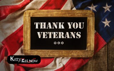 Veterans Day Ideas: Private Entertainers Bring the Party to You in Dallas