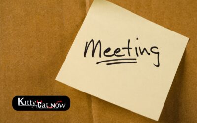 How Private Strippers in Dallas Elevate Annual Club Meetings