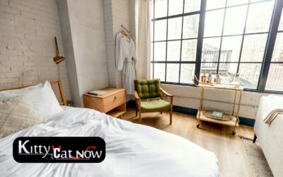 Planning a Private Airbnb Party with Strippers in Dallas