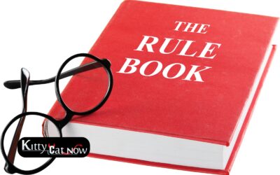 Bachelor Party House Rules in Dallas Before the Strippers Arrive