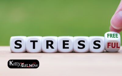 Hosting Private Party Entertainment at Home in Dallas: A Stress-Free Guide