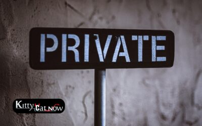 Why Private Party Entertainment Beats the Club Scene in Dallas