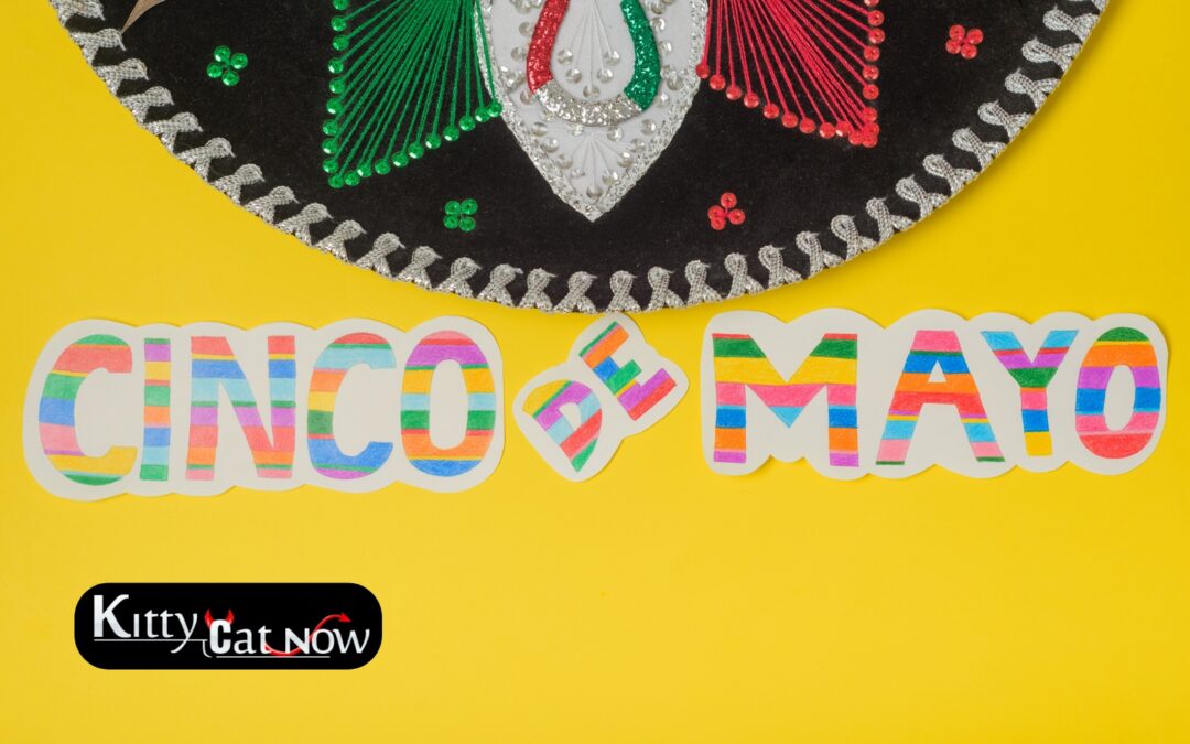 Cinco de Mayo Party Ideas in Dallas: Tacos, Tequila & Private Strippers