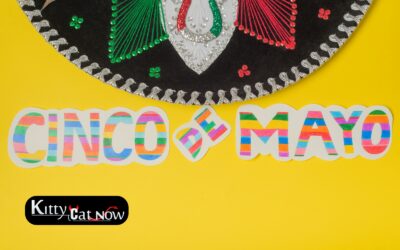 Cinco de Mayo Party Ideas in Dallas: Tacos, Tequila & Private Strippers