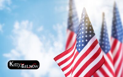 Memorial Day Party Ideas in Dallas with Strippers