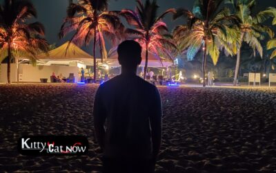 Midweek Party Planning in Dallas: Why Weekday Events Are Trending with Strippers
