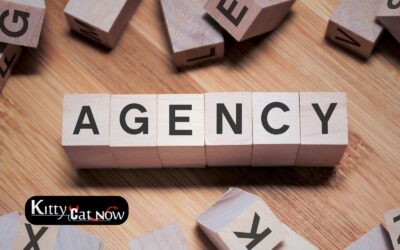 How to Choose a Legit Stripper Agency in Dallas