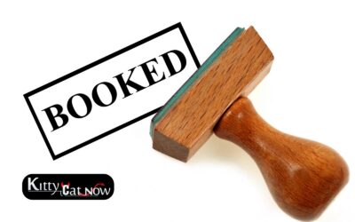 When to Book Strippers in Dallas (Peak Times)
