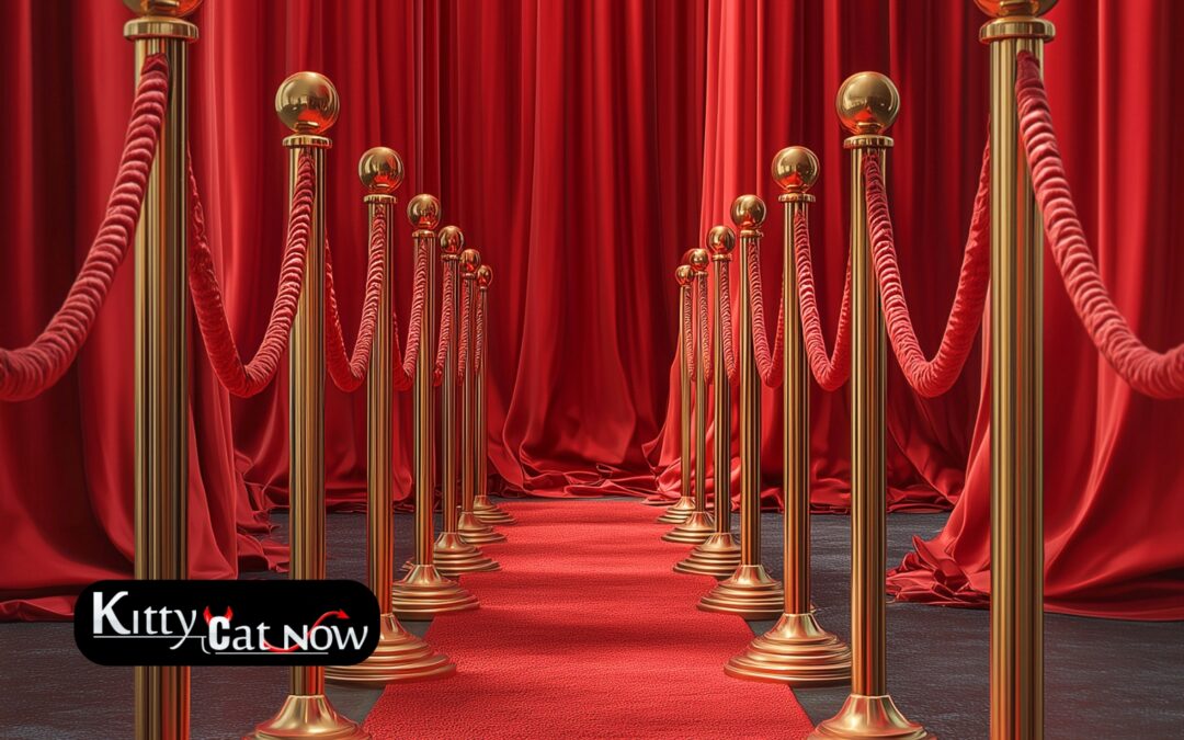 Why Booking Strippers in Dallas Creates a VIP Experience