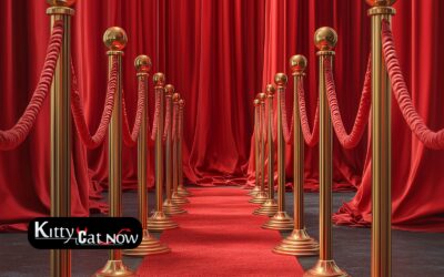 Why Booking Strippers in Dallas Creates a VIP Experience