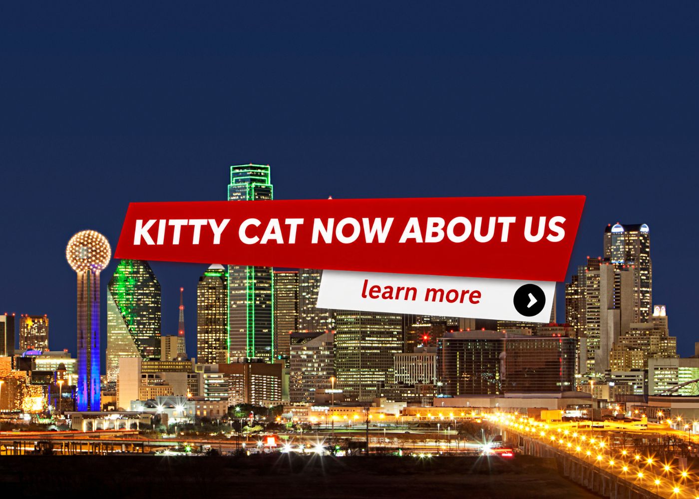 Kitty Cat Now Dallas-About Us Kitty Cat Now Dallas-About Us