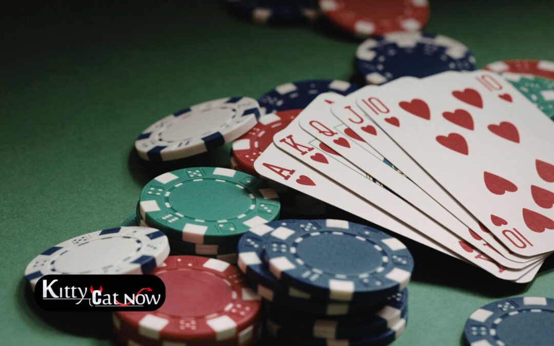 Poker Night Upgrade: Private Entertainment for Your Dallas Home Game