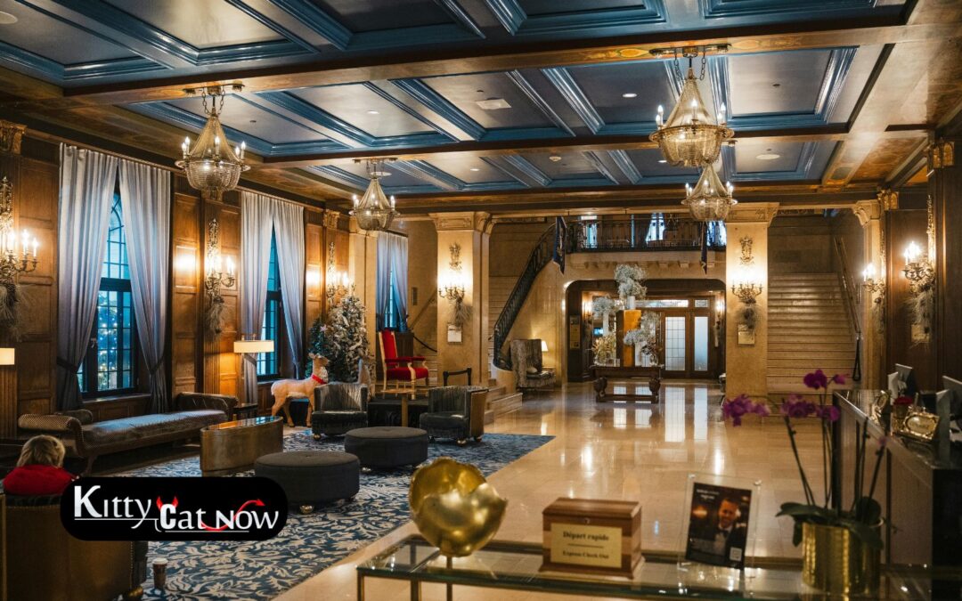 Hotel Suite vs. House Rental: Where to Host Your Dallas Bachelor Party