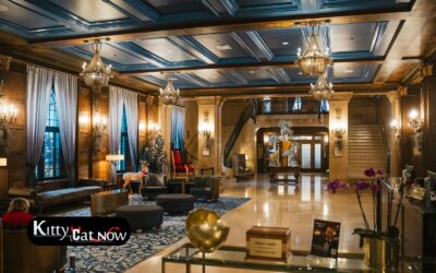 Hotel Suite vs. House Rental: Where to Host Your Dallas Bachelor Party